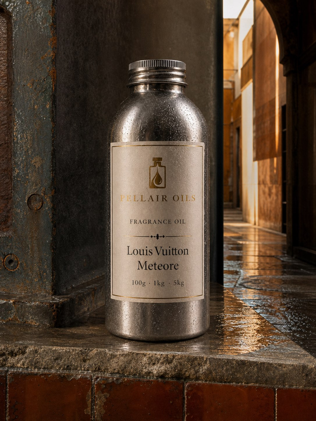 Louis Vuitton - Meteore